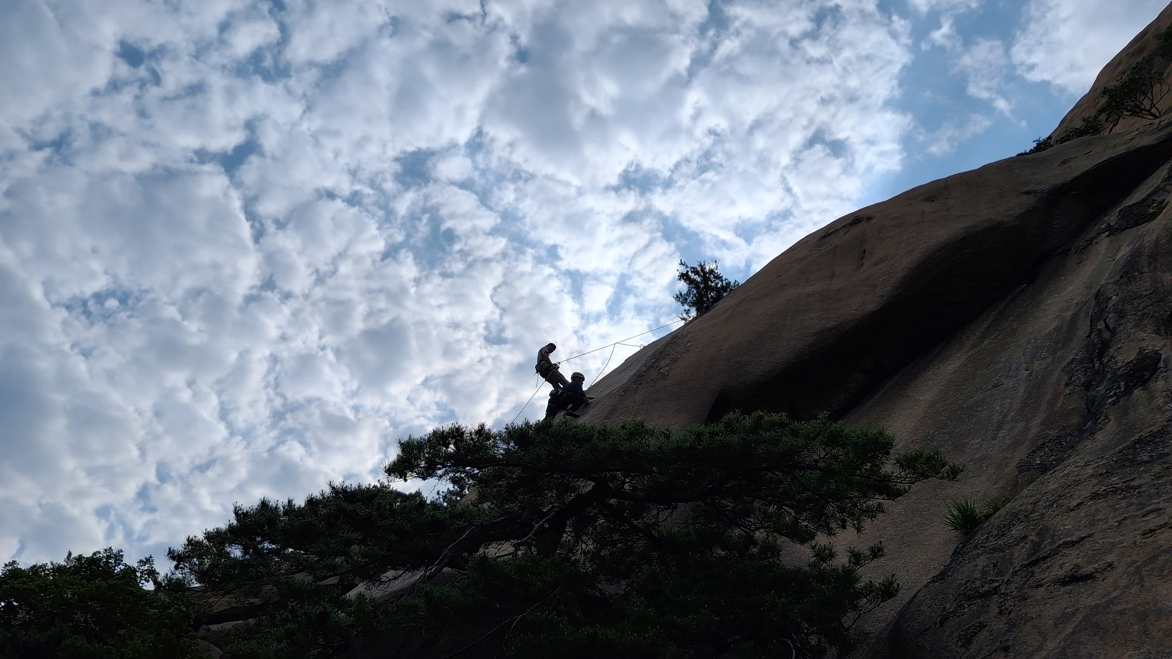 조직활성화 프로그램